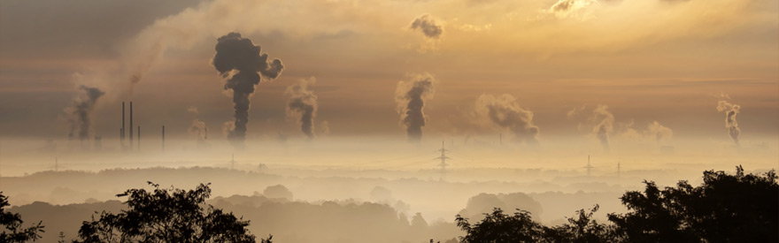 50 tysięcy osób rocznie umiera w Polsce z powodu smogu